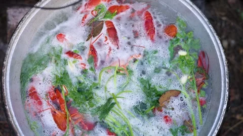 Prepare crayfish in cauldron with hot water boiling or in plate Stock-Footage 276855047
