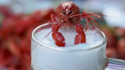 Prepare crayfish in cauldron with hot water boiling or in plate Stock-Footage 276855149
