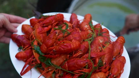 Prepare crayfish in cauldron with hot water boiling or in plate 動画素材 276855206