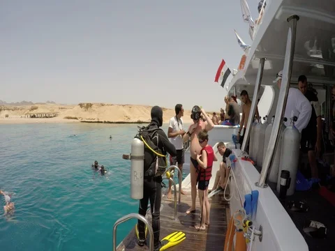 Prepare to dive Stock Footage 72770298