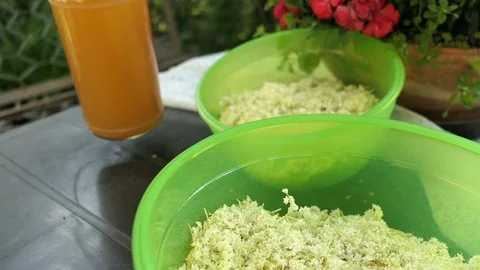 Prepare elder berry flower heads to making jam of it. Bottles of apple juice 스톡 동영상 109375040