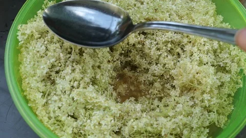 Prepare elder berry flower heads to making jam of it. mixing Elderflower head 스톡 동영상 109376545