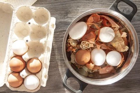 Prepare to paint the egg for Easter. Onion husks, egg and towel are on a wood Stock Photos
