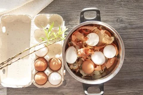 Prepare to paint the egg for Easter. Onion husks, egg and towel are on a wood Stock Photos