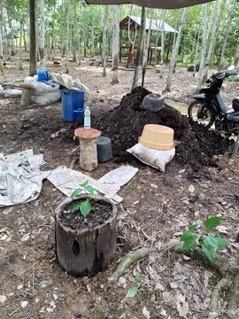 The prepare Stock Photos