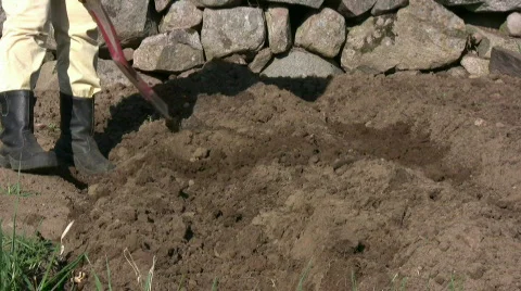 Prepare for potato plants Video stock 377616