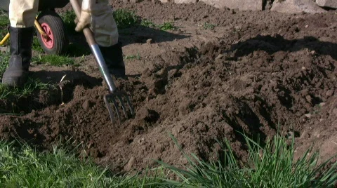 Prepare for potatos Stock Footage 397570