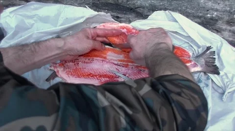 Prepare red fish. Cooking backgrounds Stock Footage 68325890