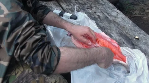 Prepare red fish. Cooking backgrounds Video stock 68325919