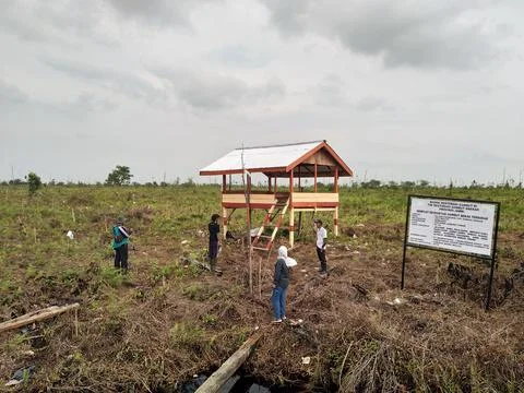 Prepare for the reforestation Foto stock