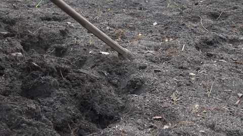 Prepare soil for planting or Dig soil Video stock 88961024