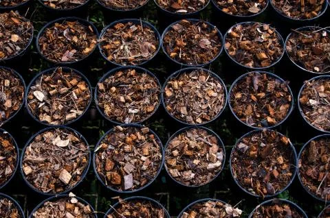 Prepare soil in pots Stock Photos
