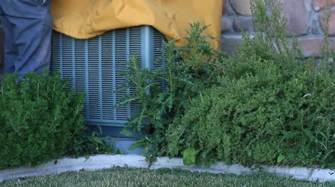 Prepare for summer Video stock 24924507