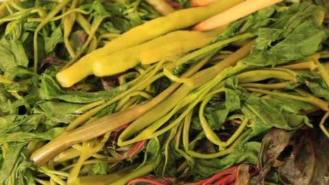 Prepare vegetables for meals Stock Footage
