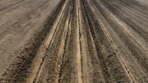 Prepared Agricultural Field Rows Ready for Crop Planting 動画素材 345021690