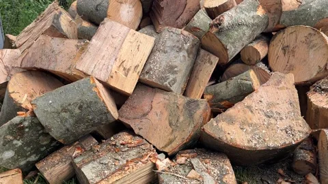 Prepared chopped wood for heating Stock Footage 334527315