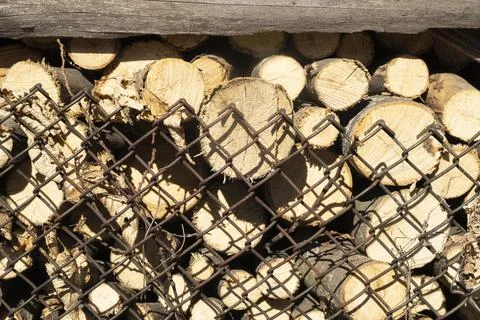 Prepared dry firewood for solid fuel boilers Stock-Fotos