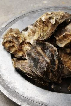 Prepared fresh shellfish seafood Stock Photos