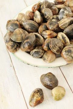Prepared fresh shellfish seafood Stock Photos