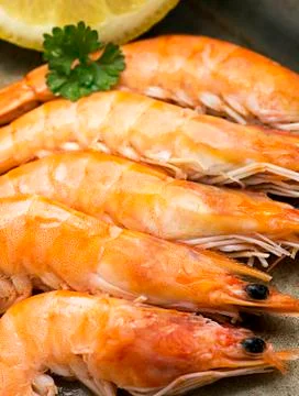 Prepared Prawns Stock Photos