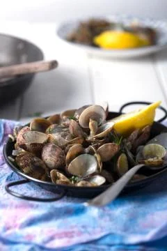 Prepared sea shells on a white table 写真素材