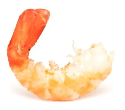 Prepared shrimp Stock Photos