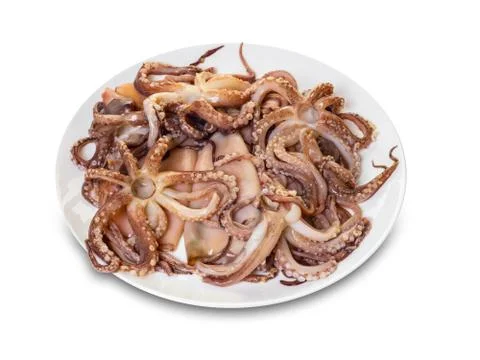 Prepared squid in a plate Stock Photos