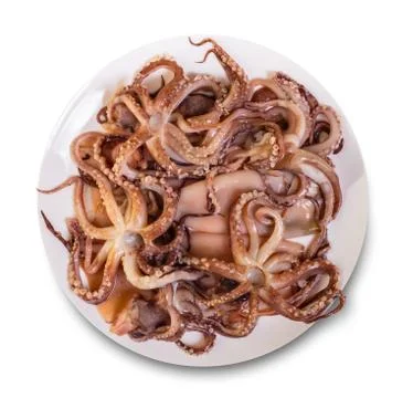 Prepared squid in a plate Stock Photos