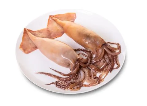 Prepared squid in a plate Stock Photos