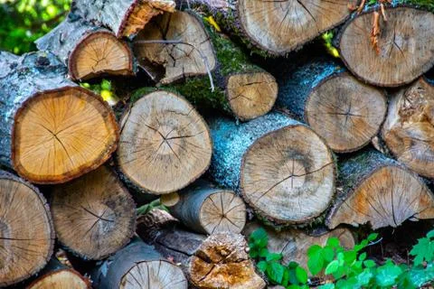 Prepared stack of circle lumbers with bark Stock-Fotos