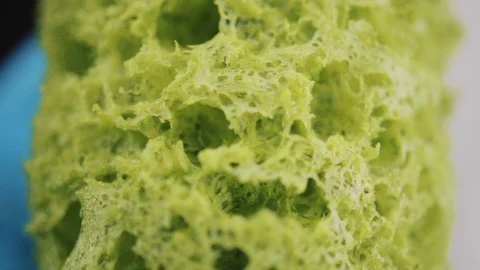 Prepares a sponge from the molecular kitchen Stock Footage 88713203