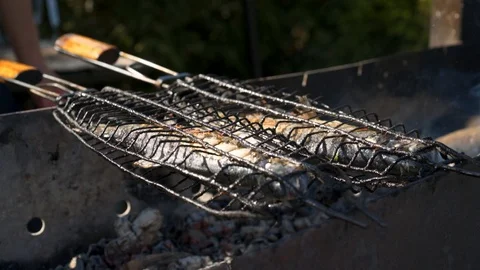 Preparing and grilling fresh and delicious trout fish. HD Видео 104063156