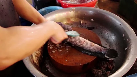Preparing and scaling a freshly caught fish Stock Footage 228970805