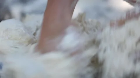 	preparing and serving focaccia bread prosciutto, dried tomatoes, black olive Video stock 133749114