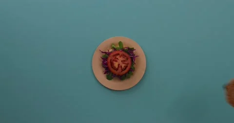 Preparing and serving quinoa burger Stock Footage 132145895