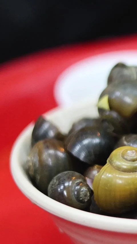 Preparing and Serving Snail Dishes Vídeos de archivo 305130531
