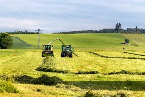 Preparing animal feed Stock Photos