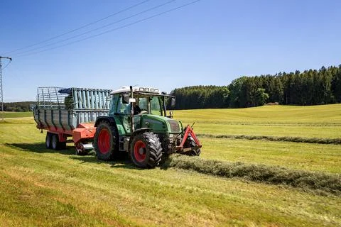 Preparing animal feed Stock Photos