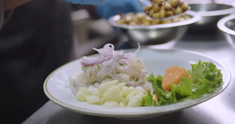 Preparing Authentic Peruvian Ceviche – Culinary Stock Video Stock Footage 290999725