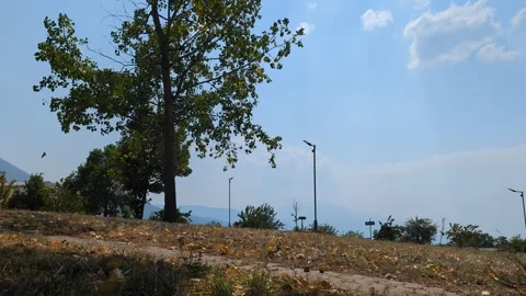 Preparing for autumn by making a road yellow Video stock 342610858