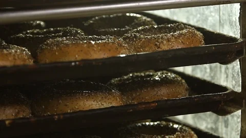 Preparing &amp; Baking Delicious New York Style Bagels In A Cafe Bakery Deli Stock Footage 123674956