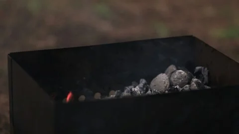 Preparing barbecue with burning coals for making barbecue. Wooden logs burn  Stock Footage 145990224