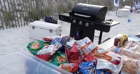 Preparing for the Barbecue Stock Footage 157555632