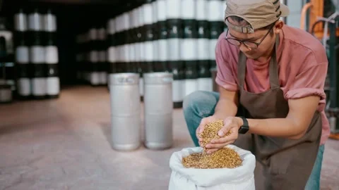 Preparing Barley for Brewing Stock Footage 200911329