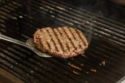 Preparing a batch of ground beef patties or frikadeller on grill or BBQ. Cook Stock Photos