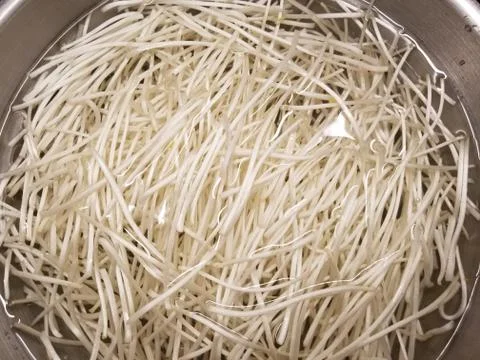 Preparing Bean Sprouts at Home Stock Photos