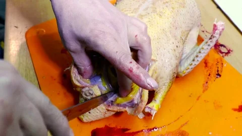 Preparing the bird 스톡 동영상 78876286