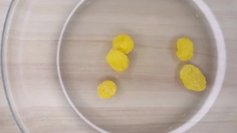 Preparing breakfast step by step. step 1 Cornflakes with milk. Put the Stock Footage 148233661