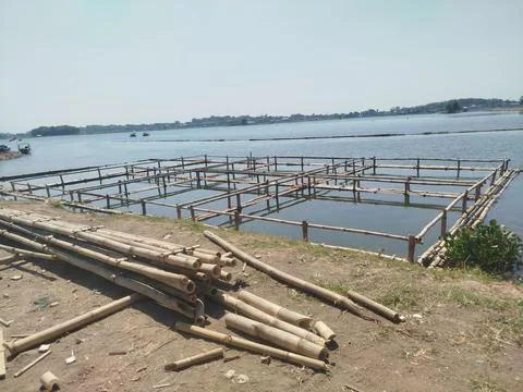 Preparing to build bamboo fish cages in the reservoir lake 스톡 사진