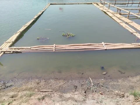 Preparing to build bamboo fish cages in the reservoir lake Stockfoto's
